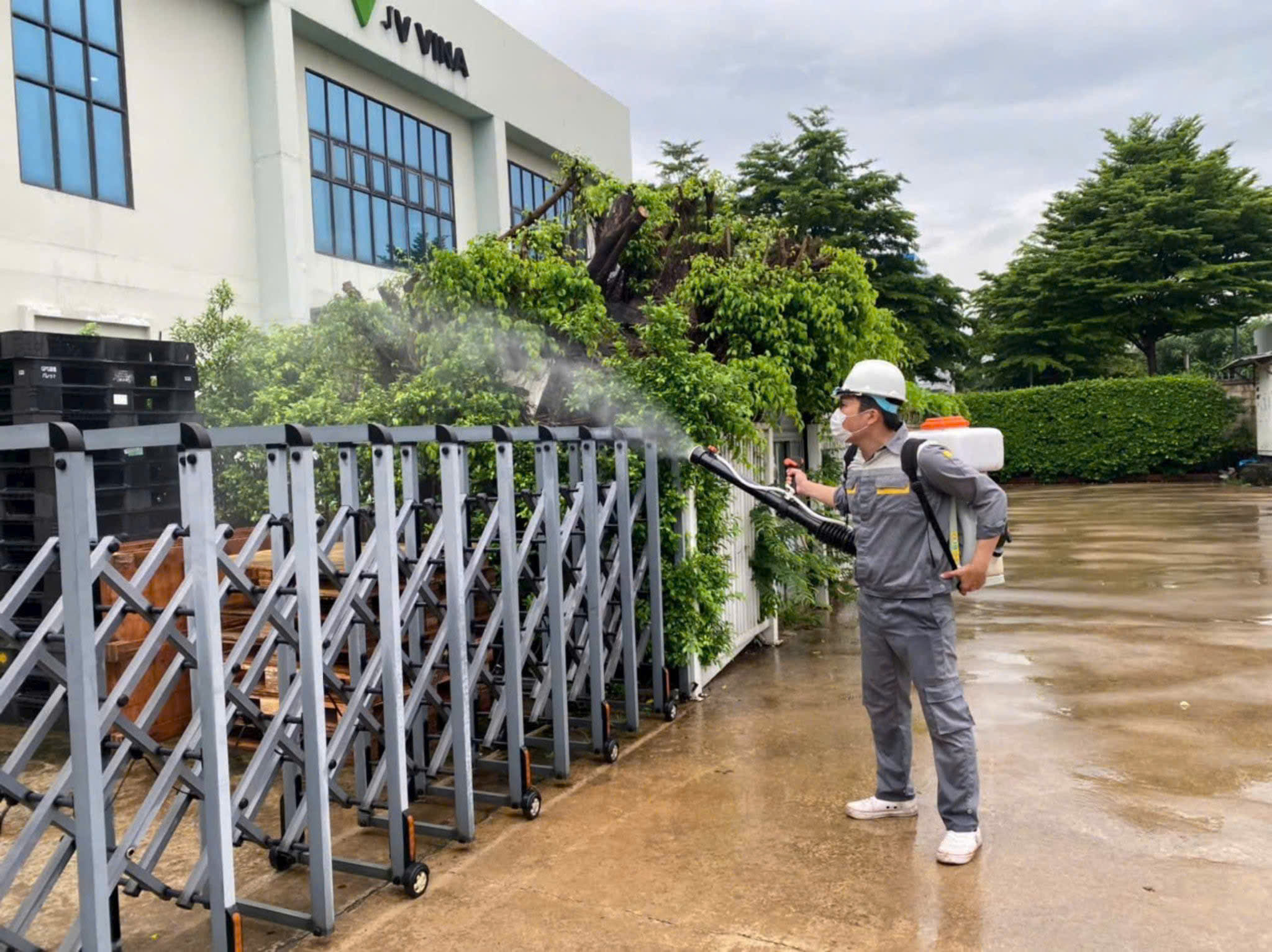 Dịch vụ diệt muỗi